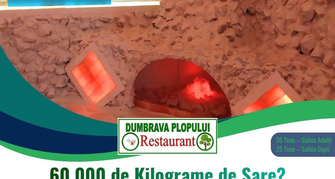 Salina Dumbrava Plopului Braniste Podari