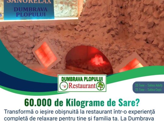 Salina Dumbrava Plopului Braniste Podari